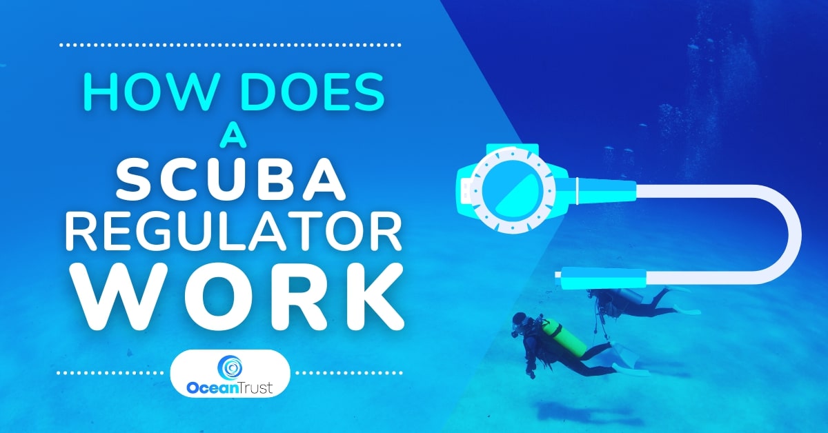 How Does A Scuba Regulator Work?