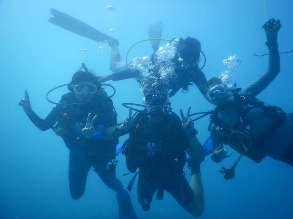 Group of Divers Under the Sea
