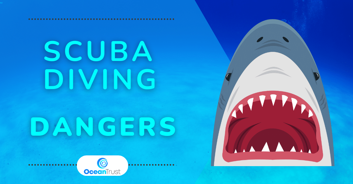 Is Scuba Diving Dangerous Ocean Trust