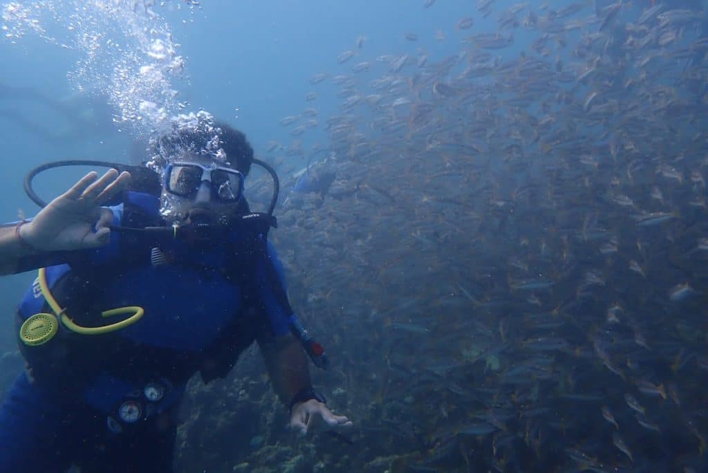 Person in Blue Wetsuit Underwater Beside a School of Fish
